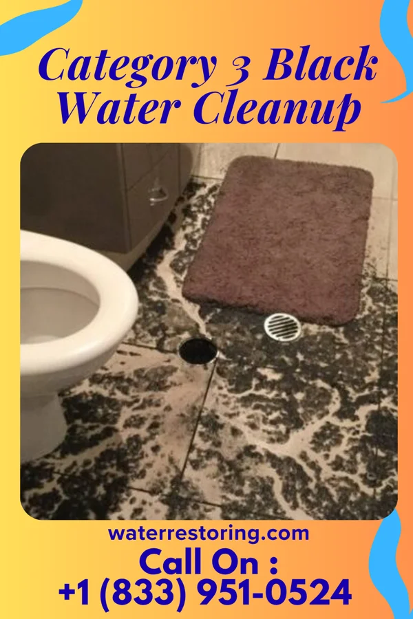 Category 3 Black Water Cleanup in Unionville, NY