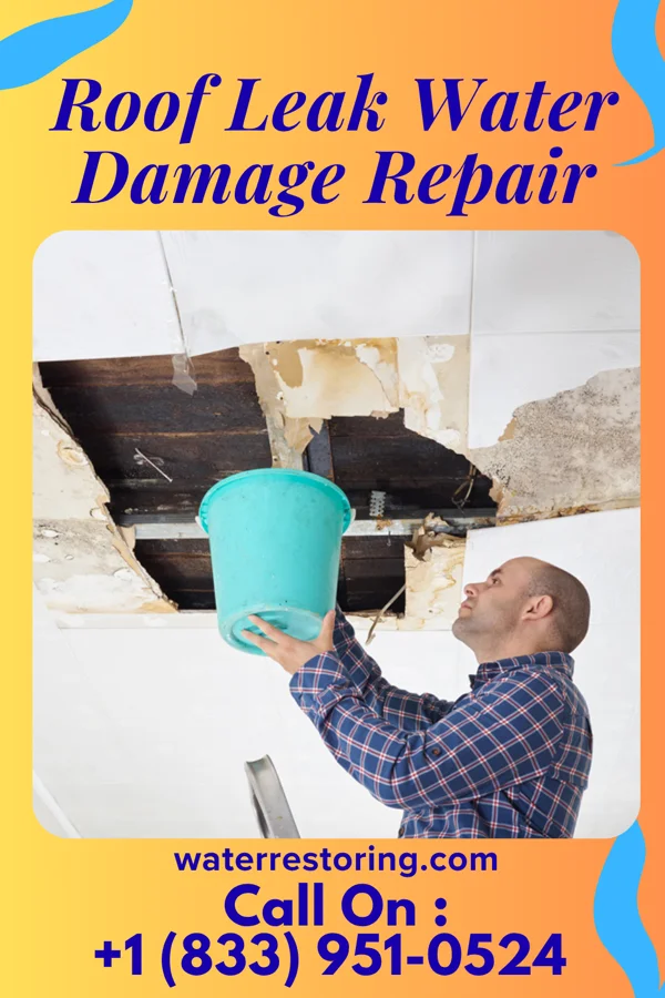 Roof Leak Water Damage Repair in Unionville, NY