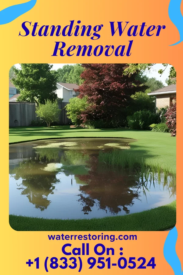 Standing Water Removal in Unionville, NY